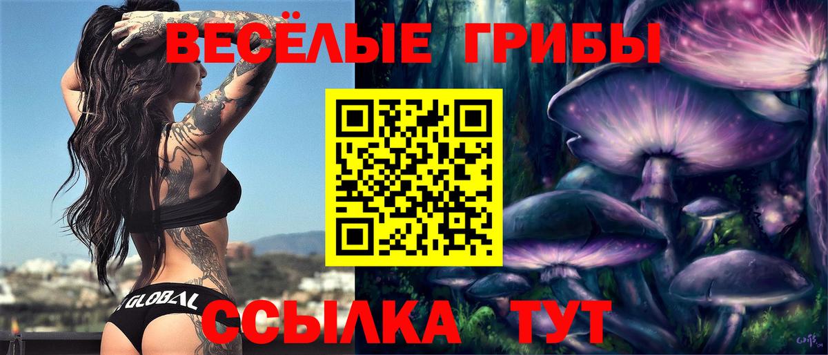 Гусев  Галлюциногенные грибы Psilocybine cubensis  продажа наркотиков  Вход с VPN 